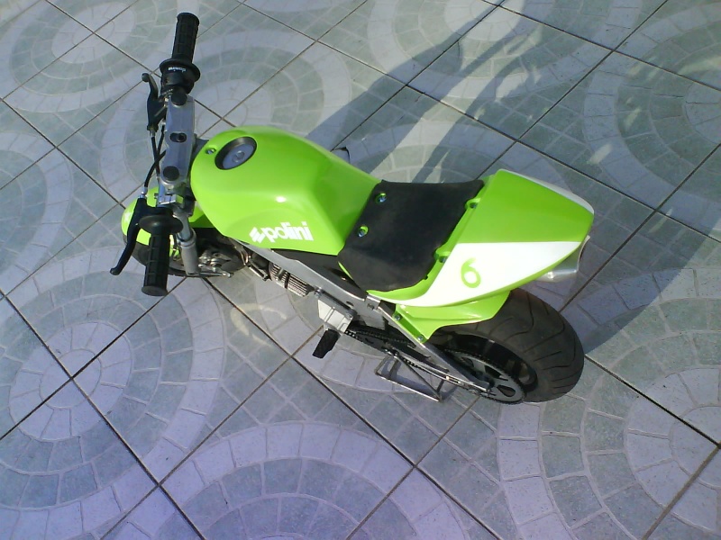 03710.jpg