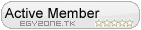 Active Member Active Member