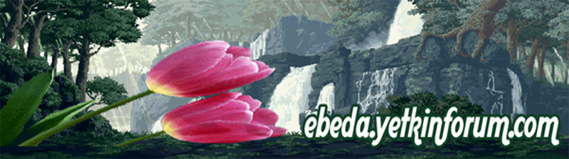 ebeda