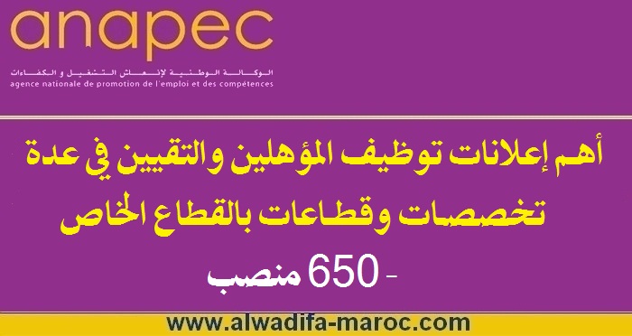 الوكالة الوطنية للإنعاش التشغيل والكفاءات: أهم إعلانات توظيف المؤهلين والتقنيين في عدة تخصصات وقطاعات بالقطاع الخاص - 650 منصب