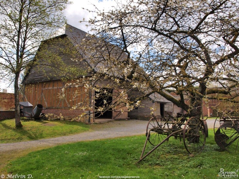 Image hébergée par servimg.com