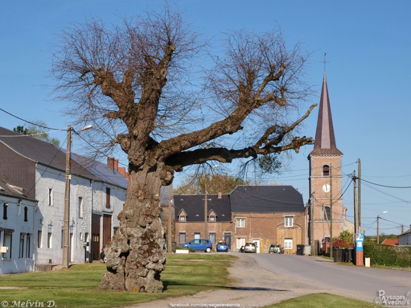 Image hébergée par servimg.com