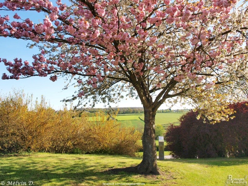 Image hébergée par servimg.com