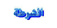 الشرطة الشرطة