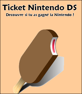 Ticket Nintendo DS Ticket29