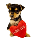 I Love Pinscher I Love Pinscher