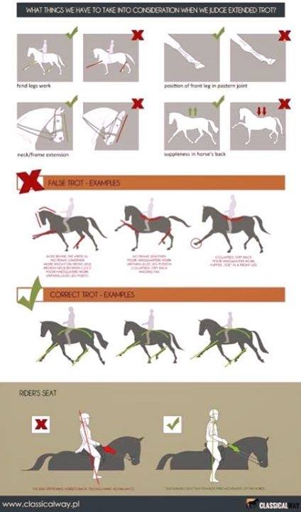 Comment apprendre à monter à cheval - MaFormation