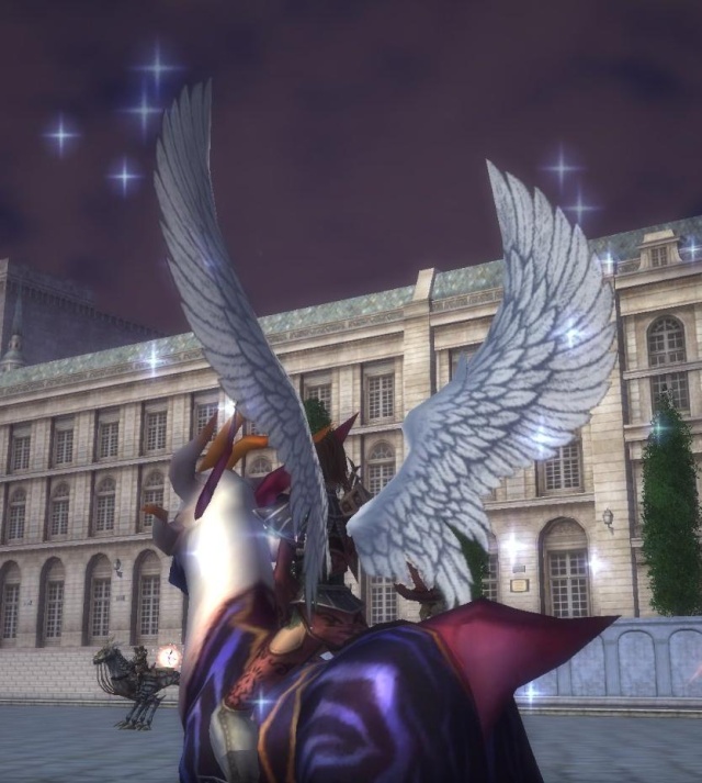 aille_10.jpg