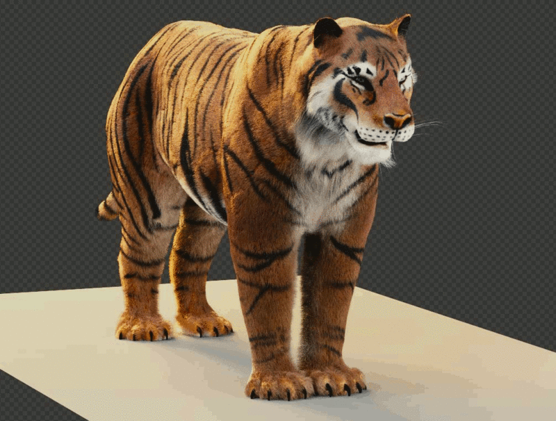 tigre010.gif