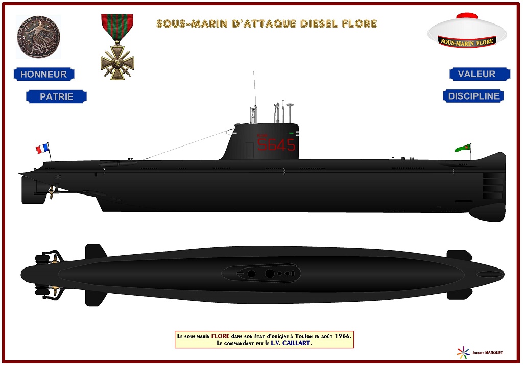 PROFILS DE SOUS MARINS TYPE DAPHNE Page 1