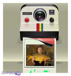 Qui est en ligne ?