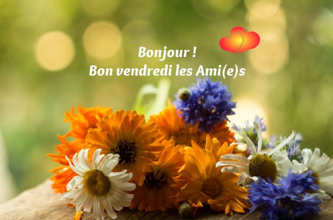 vendre12.jpg