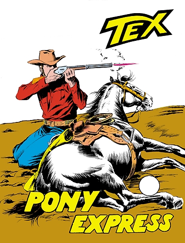 pony10.jpg