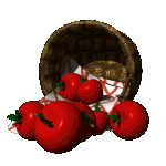 tomate19.gif